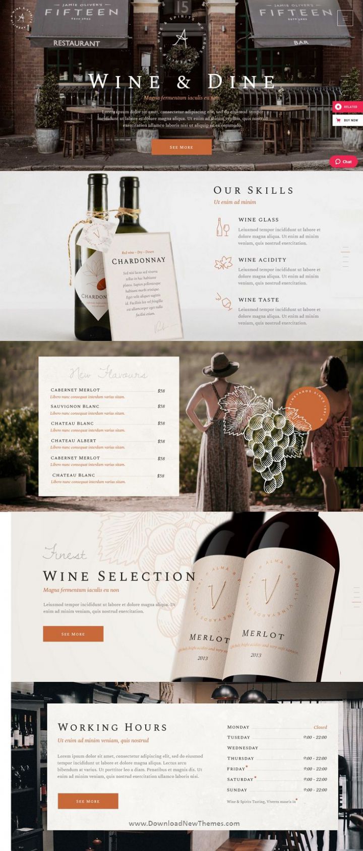 WordPress шаблон ThemeForest Aperitif