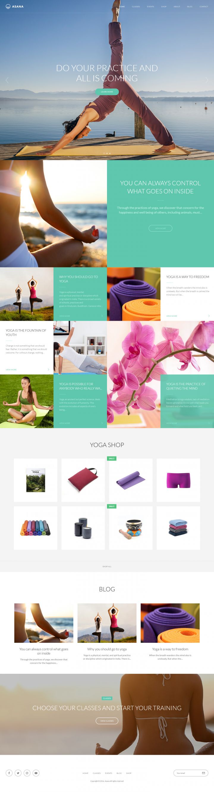 WordPress шаблон ThemeForest Asana