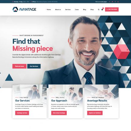 ThemeForest Avantage