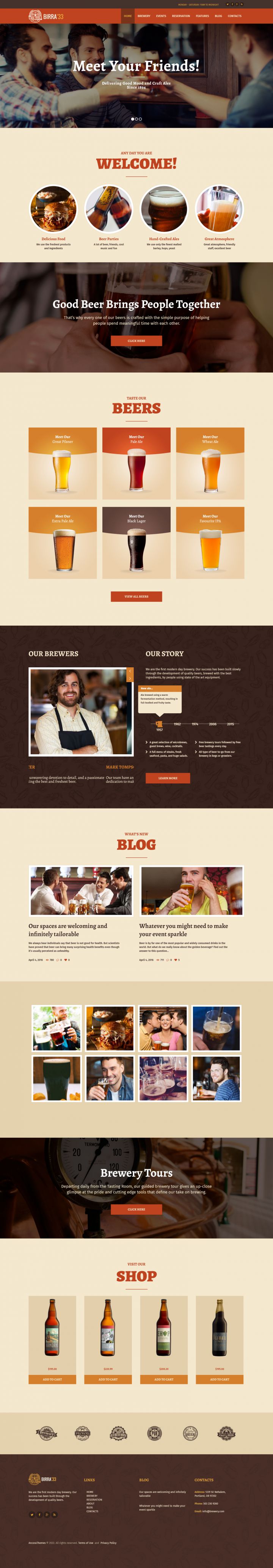 WordPress шаблон ThemeForest Birra33