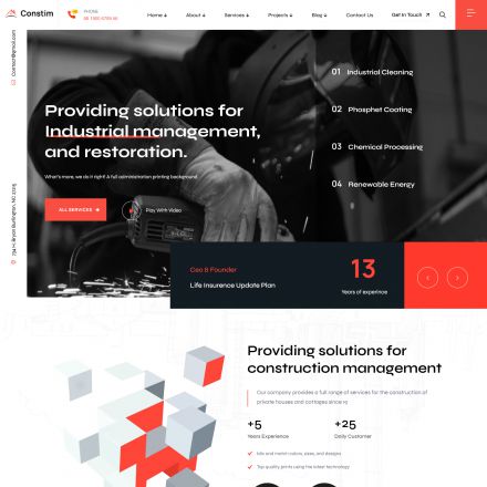 ThemeForest Constim