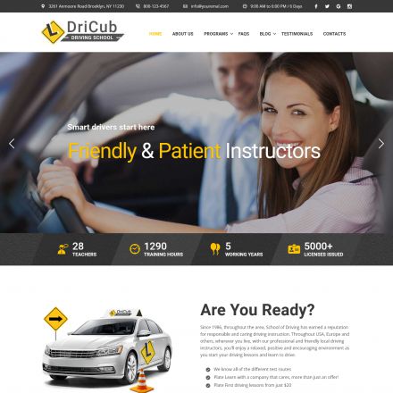 ThemeForest Dricub