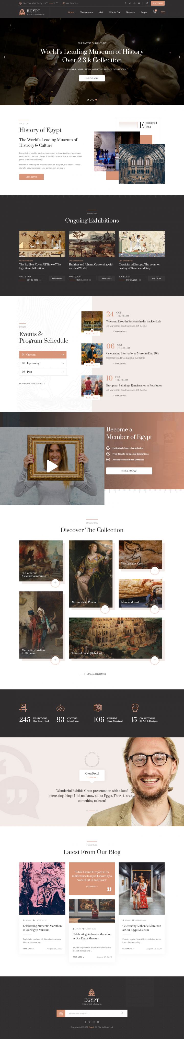 WordPress шаблон ThemeForest Egypt