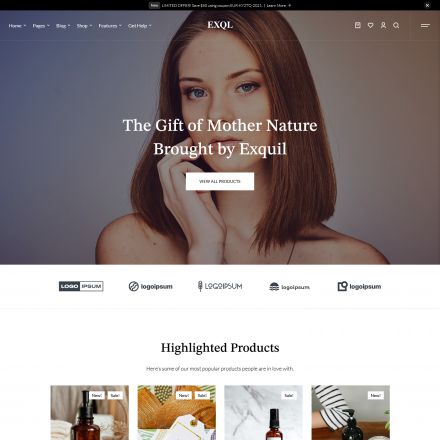 ThemeForest Exquil