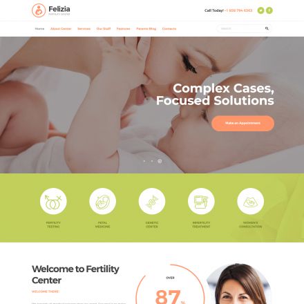 ThemeForest Felizia