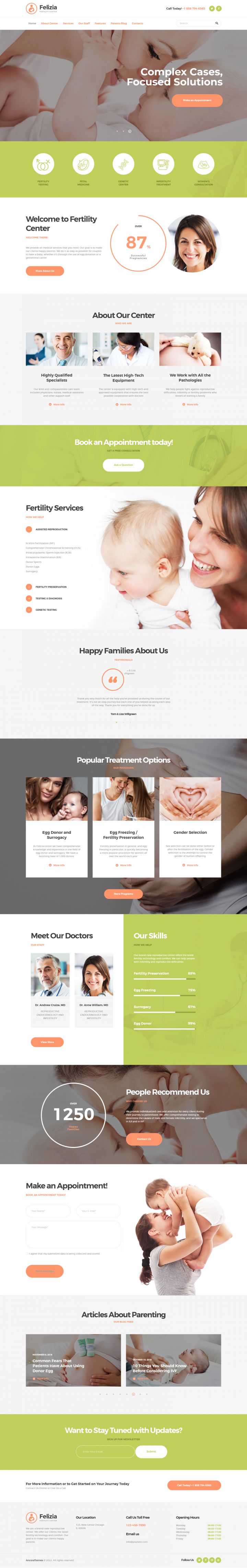 WordPress шаблон ThemeForest Felizia