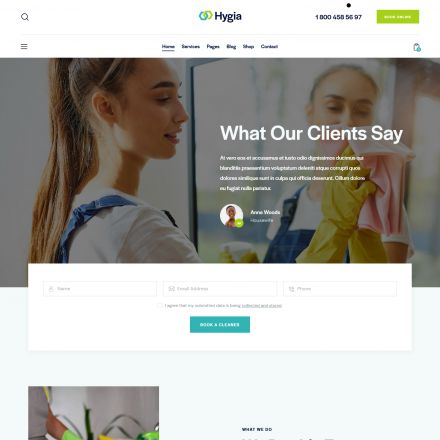 ThemeForest Hygia