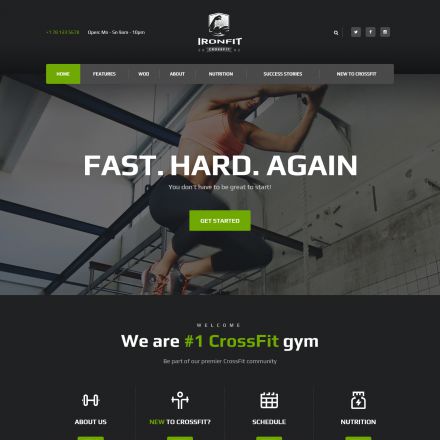 ThemeForest Ironfit