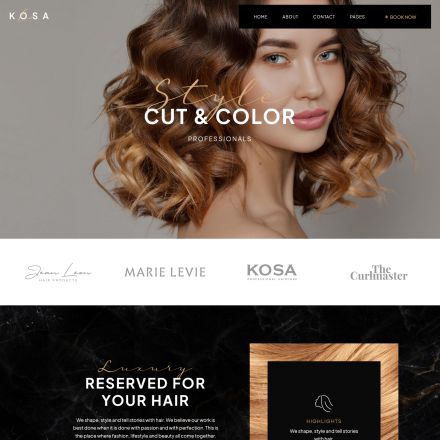 ThemeForest Kosa