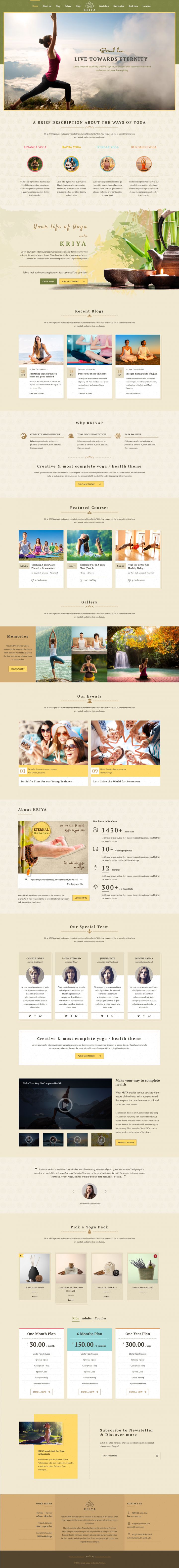 WordPress шаблон ThemeForest Kriya