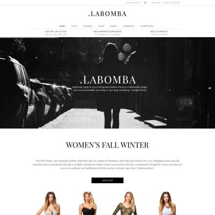 ThemeForest Labomba