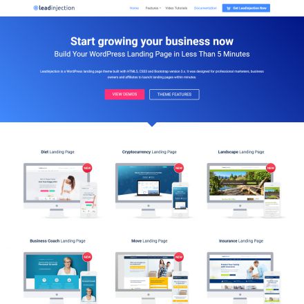 ThemeForest Leadinjection