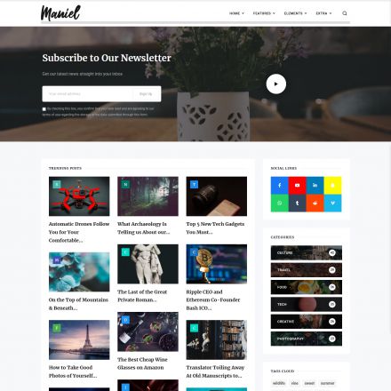 ThemeForest Maniel