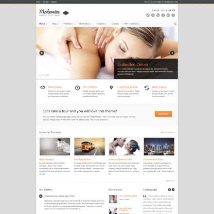 ThemeForest Modernize