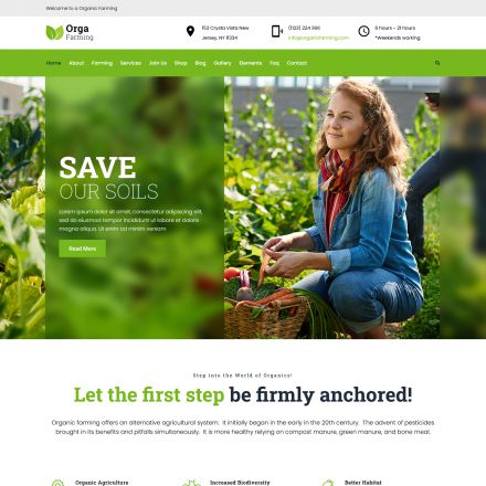 ThemeForest Orga