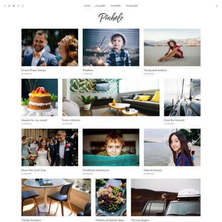 ThemeForest Pinhole