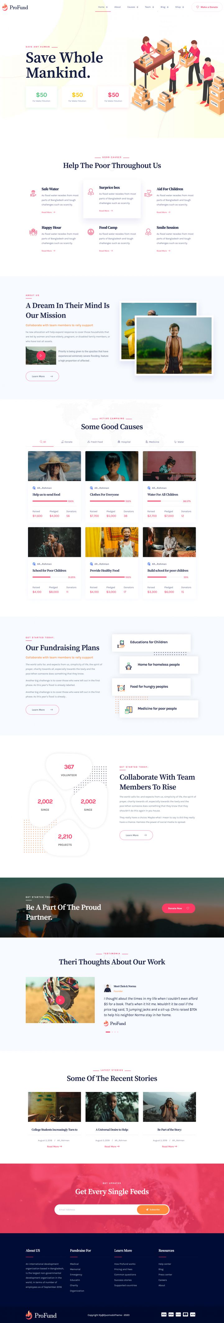 WordPress шаблон ThemeForest ProFund