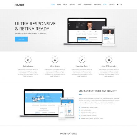 ThemeForest Richer