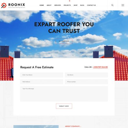 ThemeForest Roonix