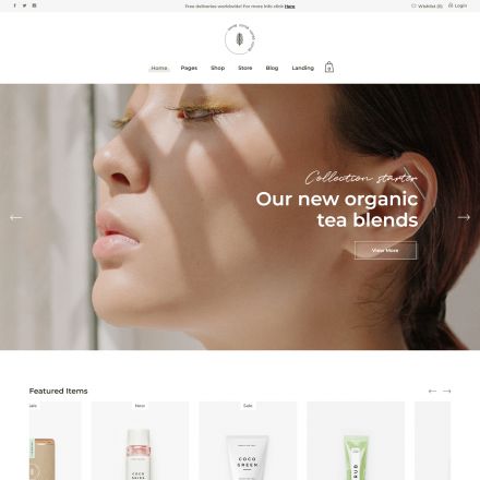 ThemeForest Sante