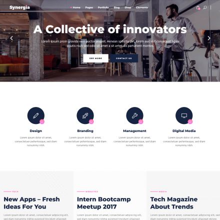 ThemeForest Synergia