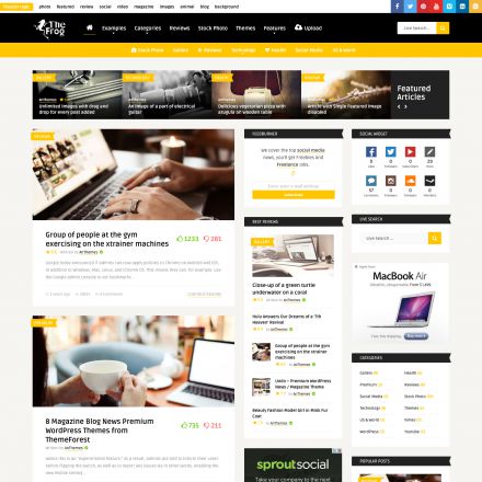 ThemeForest The Frog