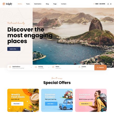 ThemeForest Triply