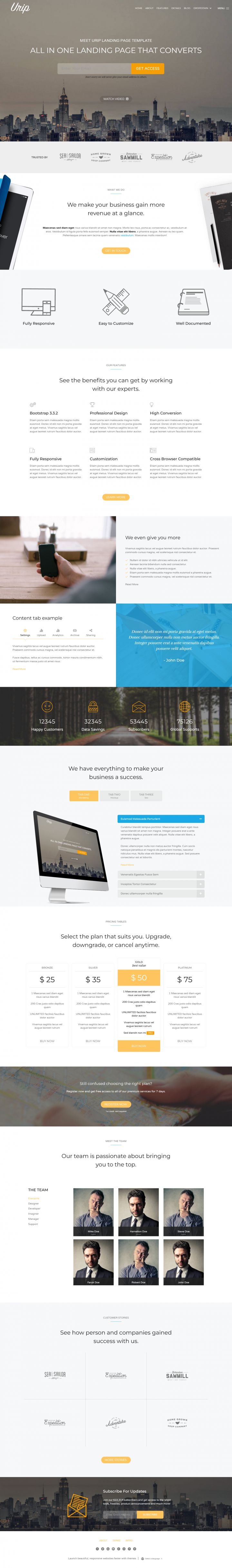 WordPress шаблон ThemeForest Urip