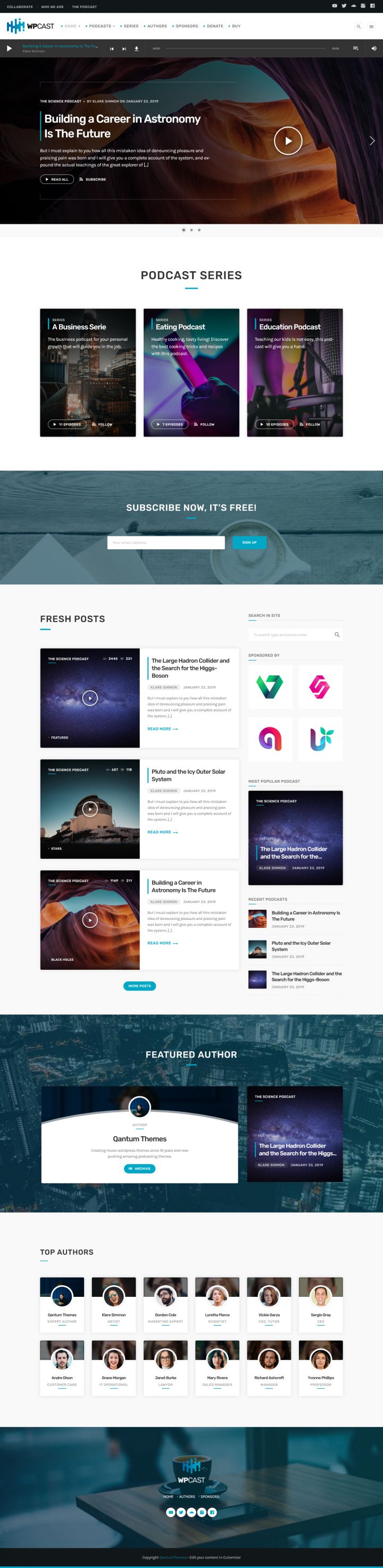 WordPress шаблон ThemeForest Wpcast
