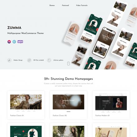 ThemeForest Zumma