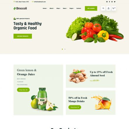 ThemeForest Broccoli