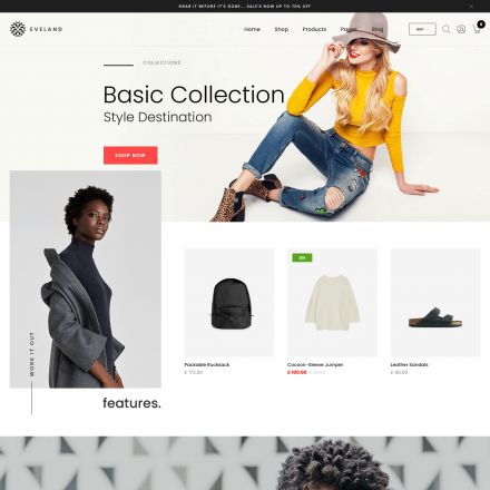 ThemeForest Eveland