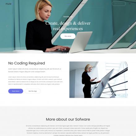 ThemeForest Fluid