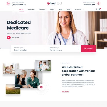 ThemeForest Healsoul