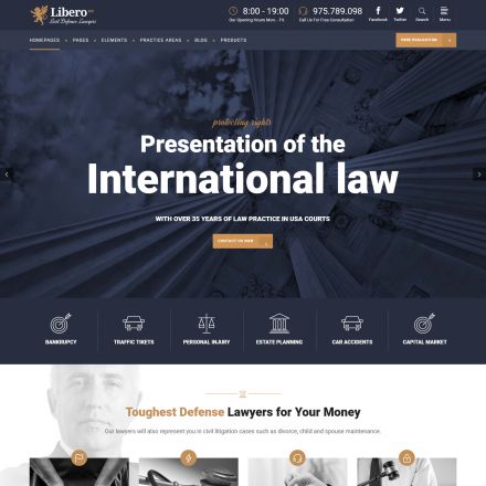 ThemeForest Libero