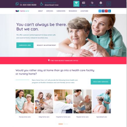 ThemeForest NanoCare