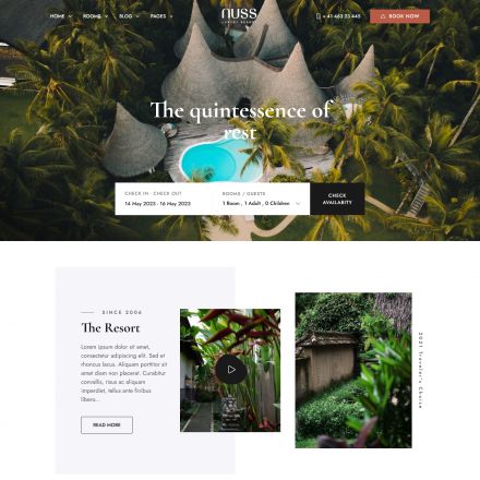 ThemeForest Nuss