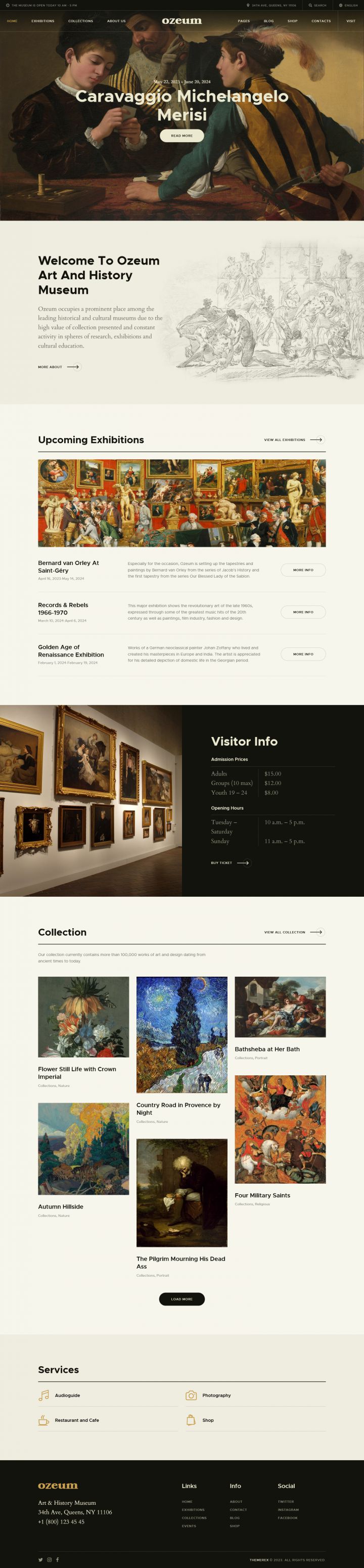 WordPress шаблон ThemeForest Ozeum