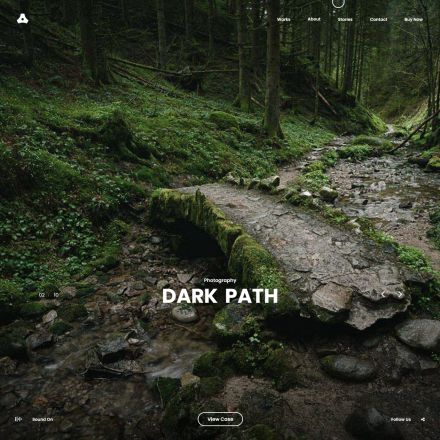 ThemeForest Satelite