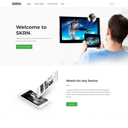 ThemeForest SKRN