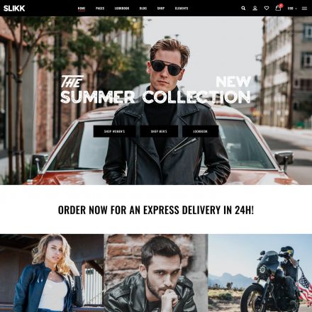 ThemeForest Slikk