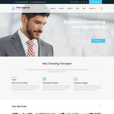 ThemeForest The Experts