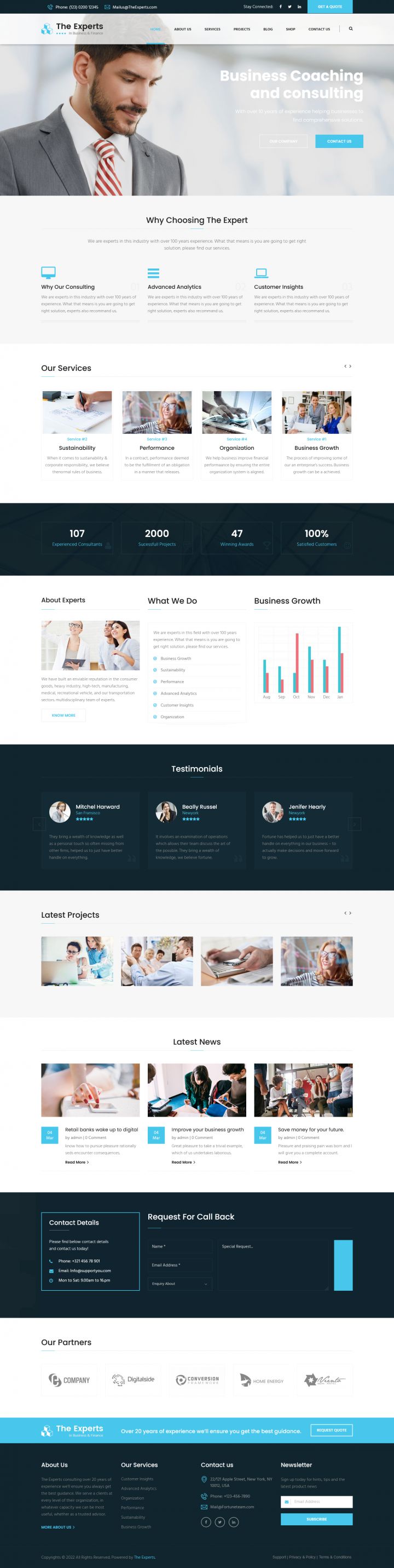 WordPress шаблон ThemeForest The Experts