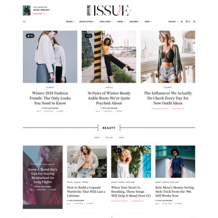 ThemeForest The Issue