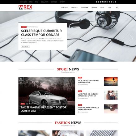 ThemeForest The REX