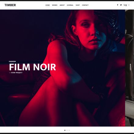 ThemeForest Timber