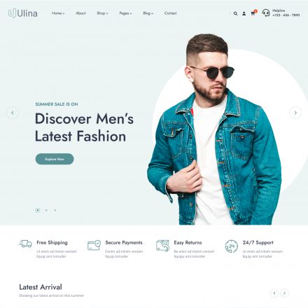 ThemeForest Ulina