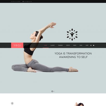 ThemeForest Yogi