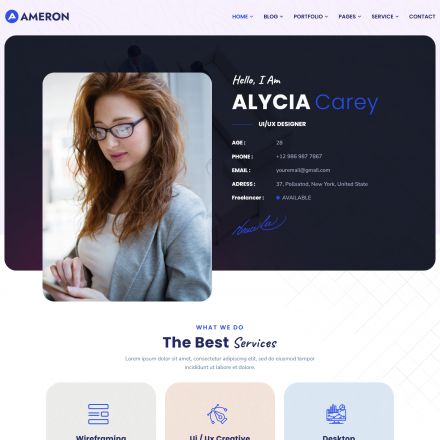 ThemeForest Ameron