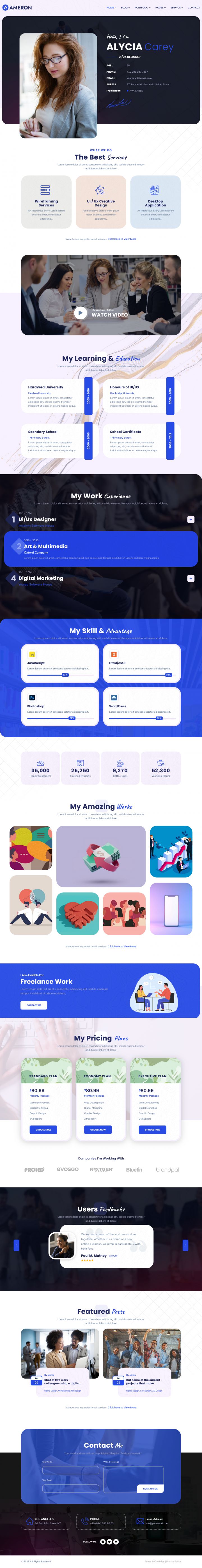 WordPress шаблон ThemeForest Ameron